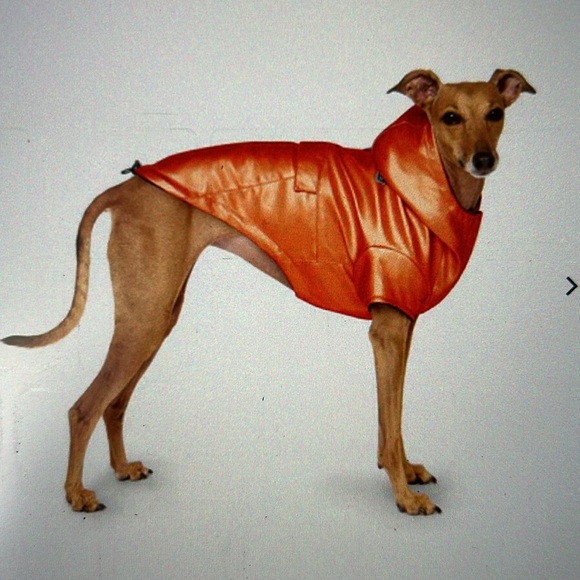 Canada Pooch Raincoat - Picture 4 of 4
